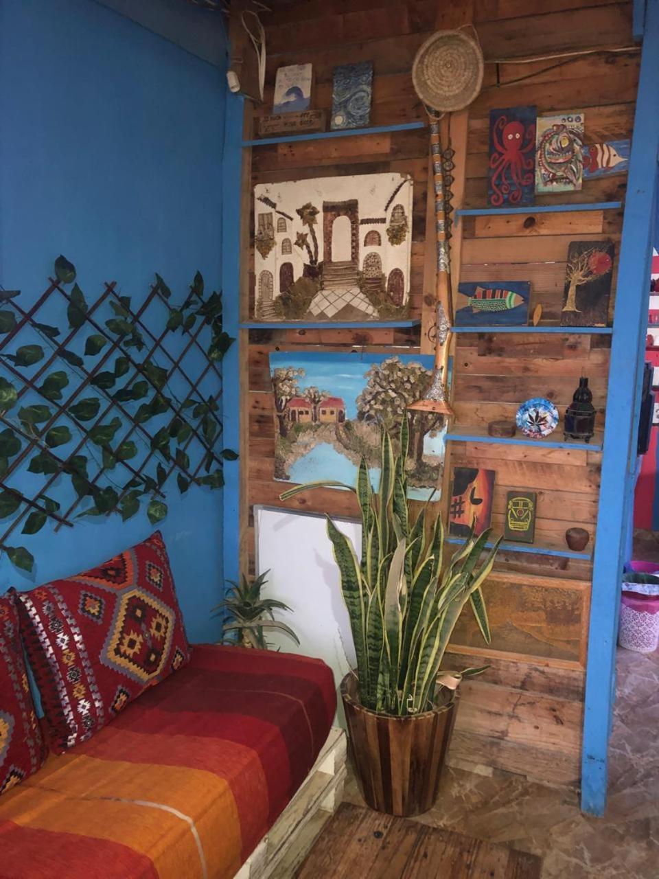Rayane Guest House تغازوت المظهر الخارجي الصورة